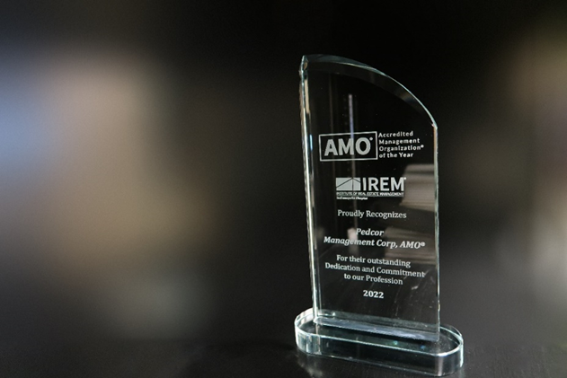 AMO of the Year Award